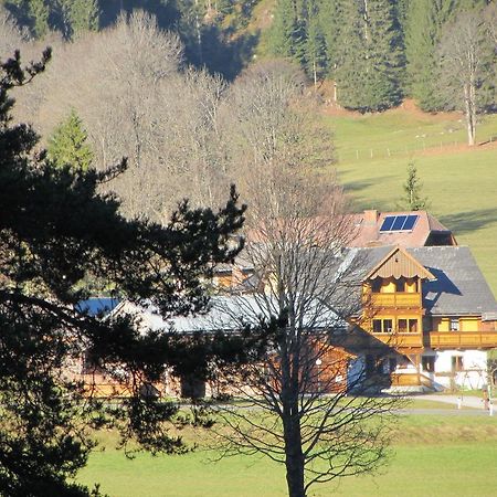 Appartement Obergrabnerhof à Ramsau am Dachstein Extérieur photo